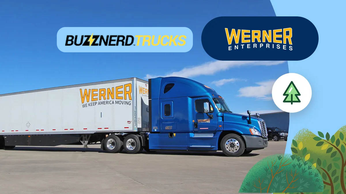 Werner and Buzznerd new Website Launch